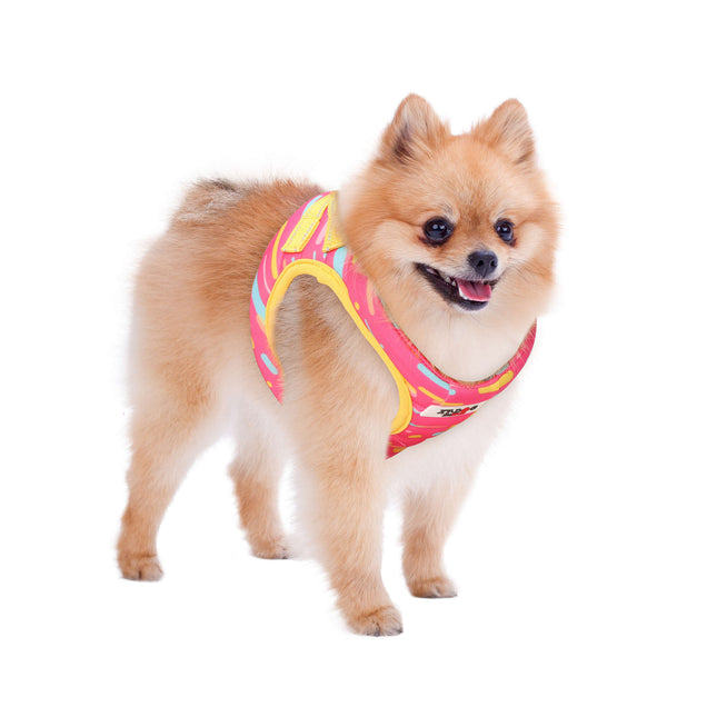 Arnés Planetas rosa de XT-DOG XXS