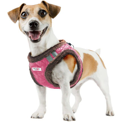 Arnés NORDIC fuscia de XT-DOG S