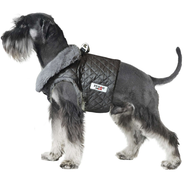 Arnés WARM de XT-DOG S
