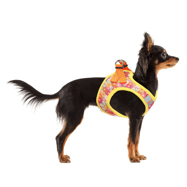 Arnés MESH FLORES de XT-DOG 21 cm.