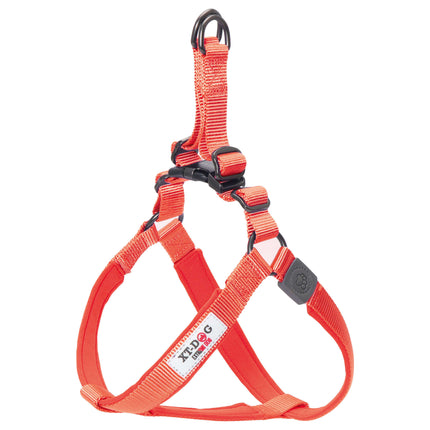 Arnés nylon + neopreno XT-DOG rojo S