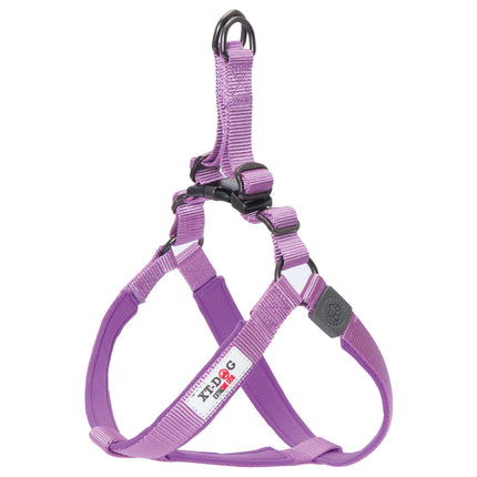 Arnés nylon + neopreno XT-DOG lila L
