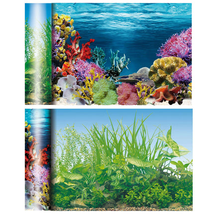 Fondo de doble cara Caribe / Estanque 50 cm.