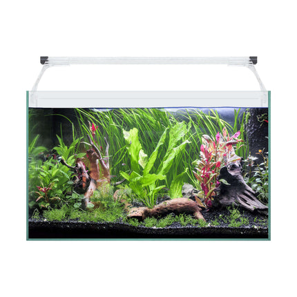 Kit AQUA LIGHT Glass 50 41.00L