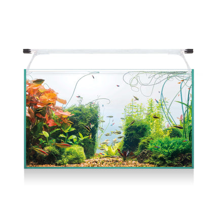 Kit AQUA LIGHT Glass 60 52.00L