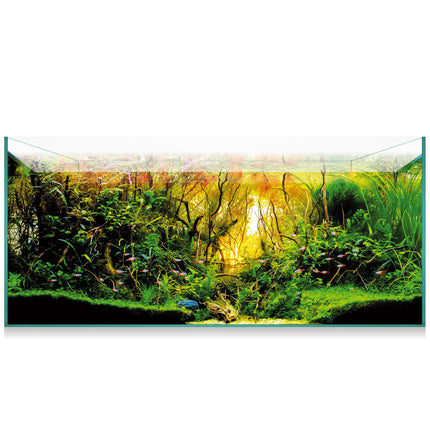 Kit Aquascape 180 179.00L