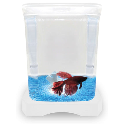 Kit betera blanca con luz y decoración ICA 1.50L