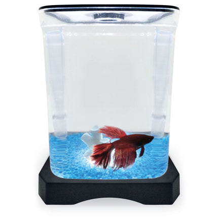 Kit betera negra con luz y decoración ICA 1.50L