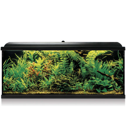 Kit AQUA LED PRO 240 negro con filtro exterior 240.00L