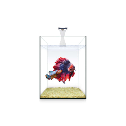 Kit NANO Nature 4.00L