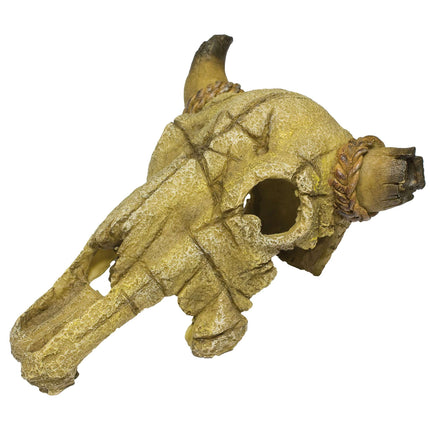 Ornamento con un cráneo de toro 24.01 cm.