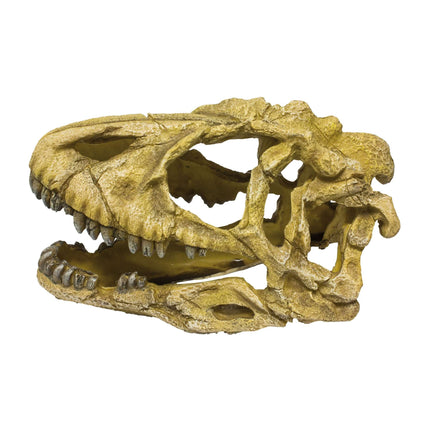 Ornamento con un cráneo de dinosaurio 10 cm.