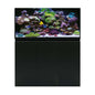 Acuario marino con Sump AQUA OCEAN PRO (sin lámpara)