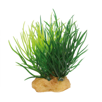 Planta 'MAGIC PLANTS' modelo 2