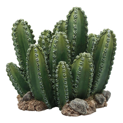 Ornamento conjunto de cactus REPTI-SELVA