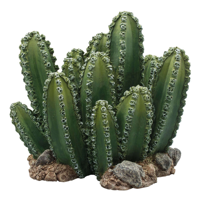 Ornamento conjunto de cactus REPTI-SELVA
