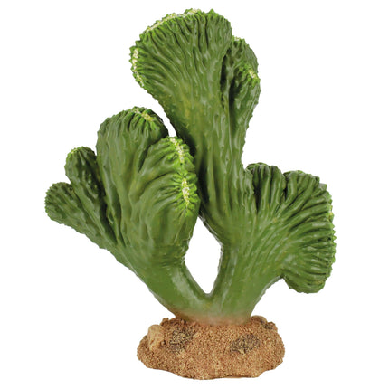 Ornamento cactus cerebro REPTI-SELVA