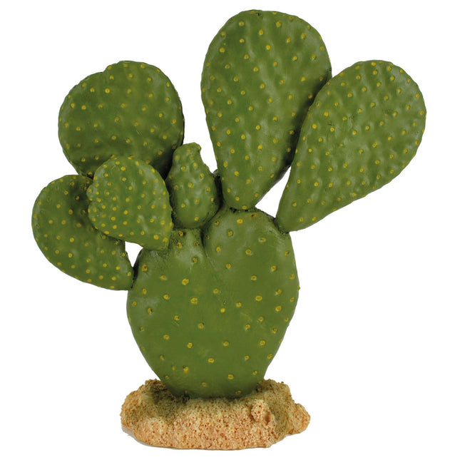 Ornamento tunera REPTI-SELVA
