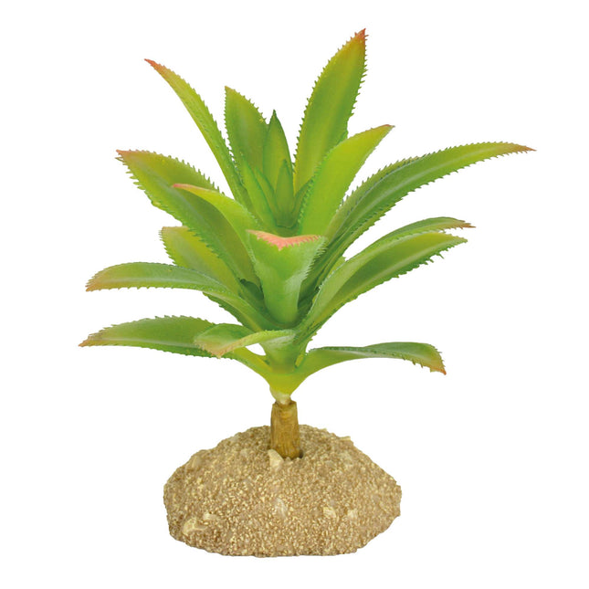Ornamento aloe con espinas REPTI-SELVA 9.50 cm.