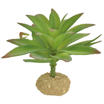 Ornamento aloe con espinas REPTI-SELVA 13.50 cm.