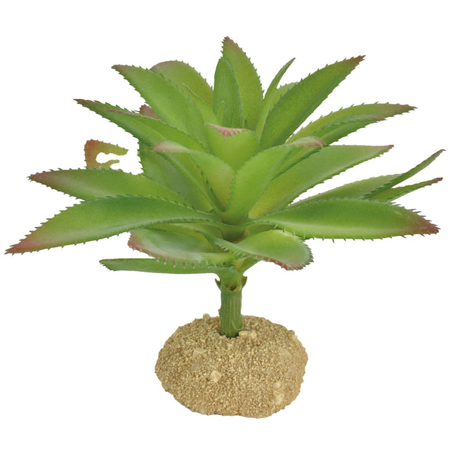 Ornamento aloe con espinas REPTI-SELVA 13.50 cm.