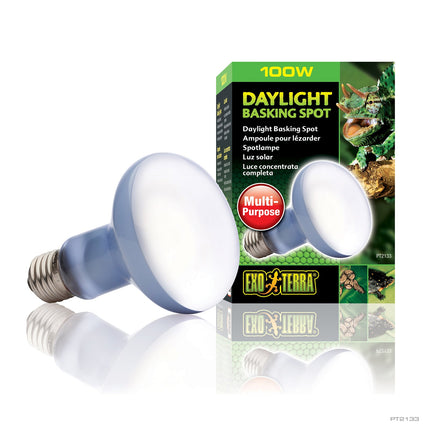 Exo Terra Daylight Basking Spot, 100W