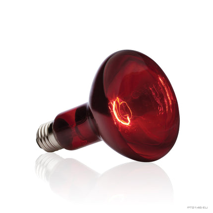 Exo Terra Infrared Basking Spot, 150W