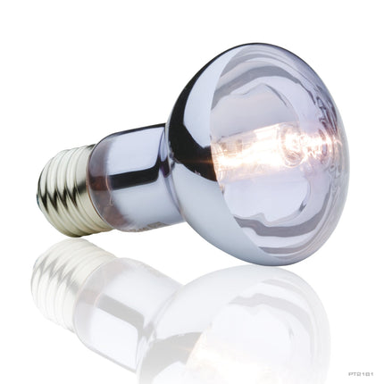 Exo Terra Halogen Basking Spot, 50W