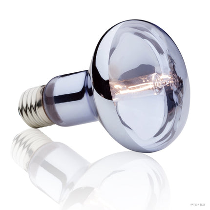 Exo Terra Halogen Basking Spot, 75W