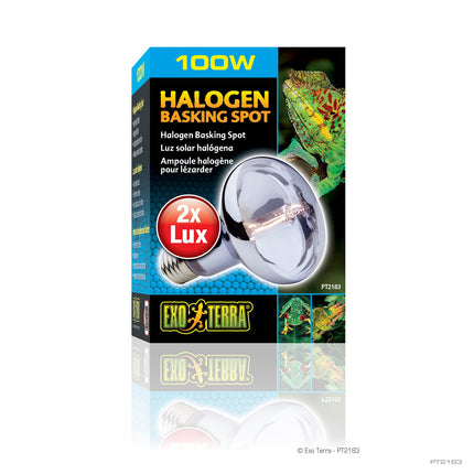 Exo Terra Halogen Basking Spot, 75W