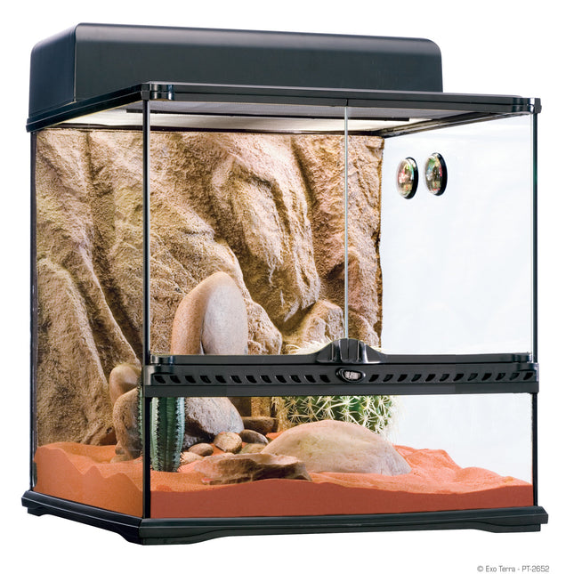 Exo Terra Habitat Kit Desértico 60L M. 45x45x45