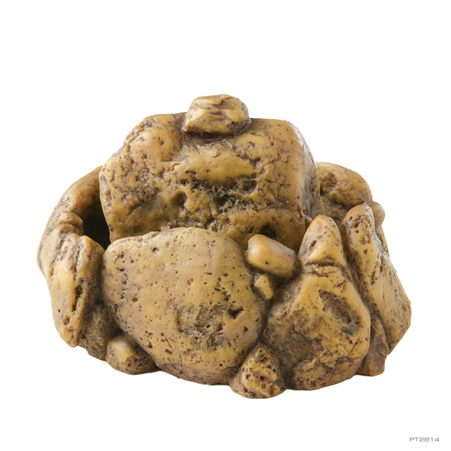 Exo Terra Fuente para Reptiles