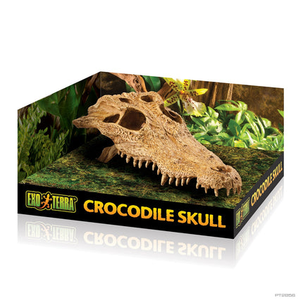 Exo Terra Cuevas Dinosaur Eggs