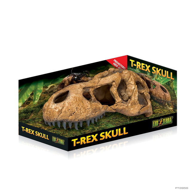 Exo Terra Crocodile Skull