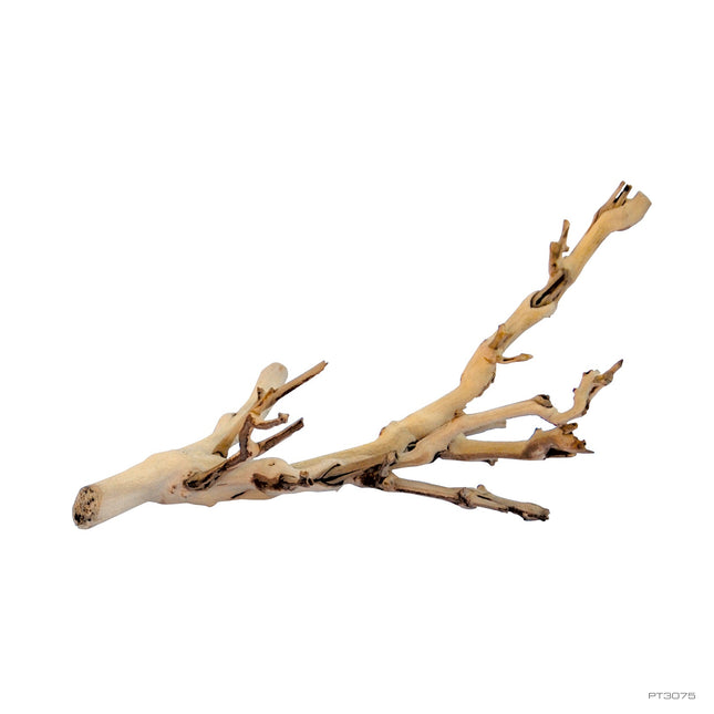 Exo Terra Forest Branch Gde. 60 cm