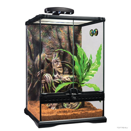Exo Terra Kit Terrario GeckoCrestado, S 30x30x45cm