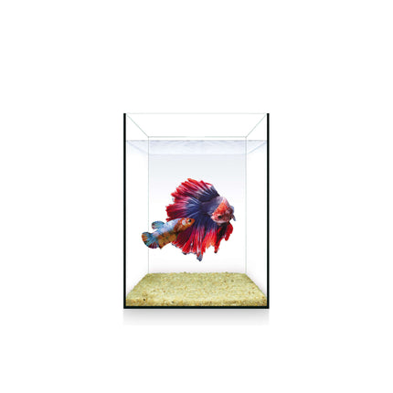 Urna NANO Nature de 4 litros