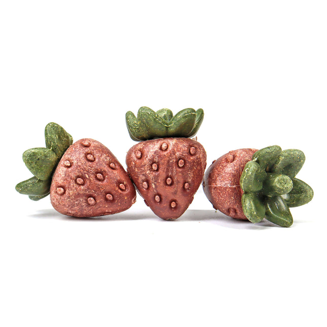 Snack fresas Vit Pro