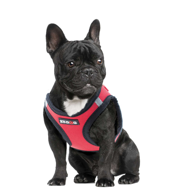 Arnés NEO rojo de XT-DOG XS