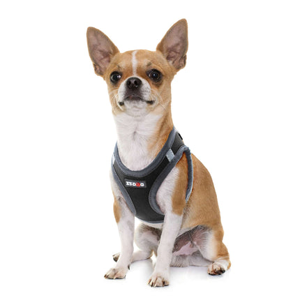Arnés NEO negro de XT-DOG XS
