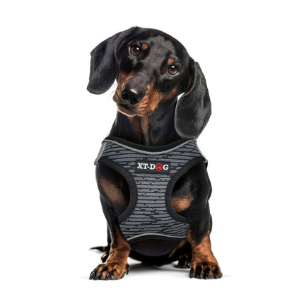 Arnés Step-in XT-DOG gris M