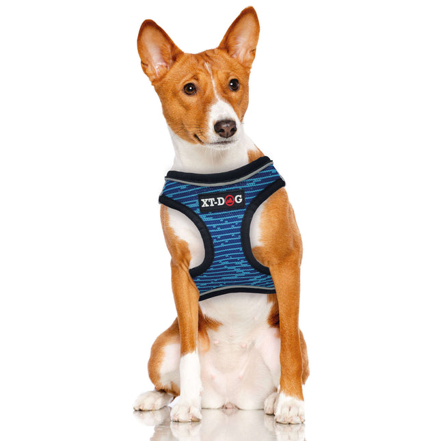 Arnés Step-in XT-DOG azul XS