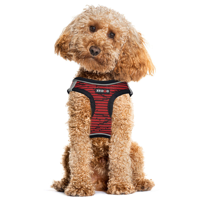 Arnés Step-in XT-DOG rojo S