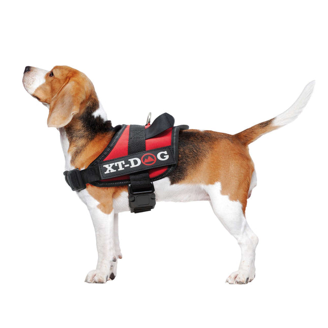Arnés de seguridad rojo XT-DOG M