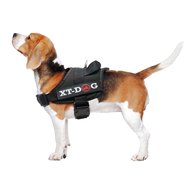 Arnés de seguridad negro XT-DOG M