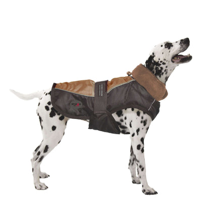 Abrigo Sport marrón XT-DOG M