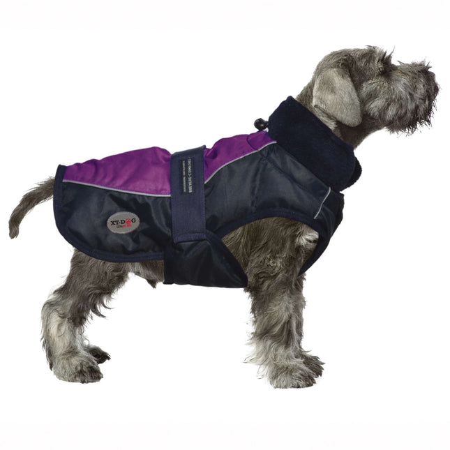 Abrigo Sport violeta XT-DOG 5XL