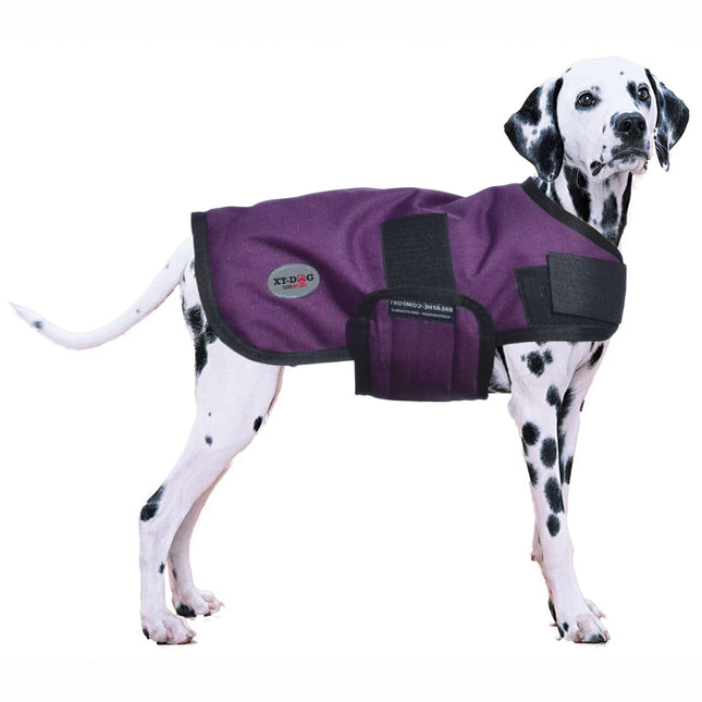 Abrigo Winter XT-DOG XXL