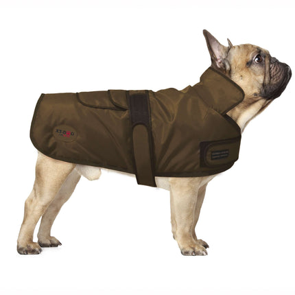 Abrigo Artic XT-DOG S