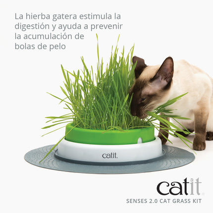 Catit Senses 2.0 Cat Grass Kit, 3uds